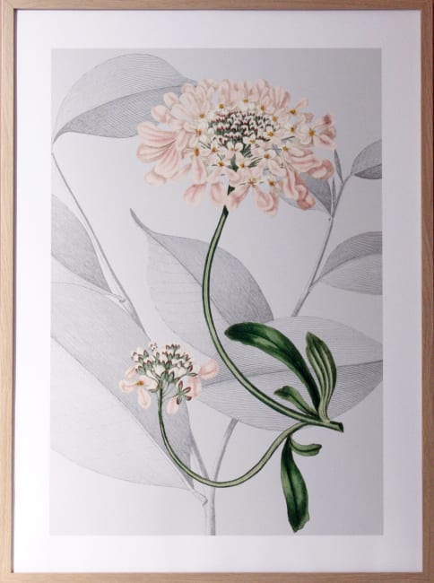 Bilde Botanical Arrangement I 50x70