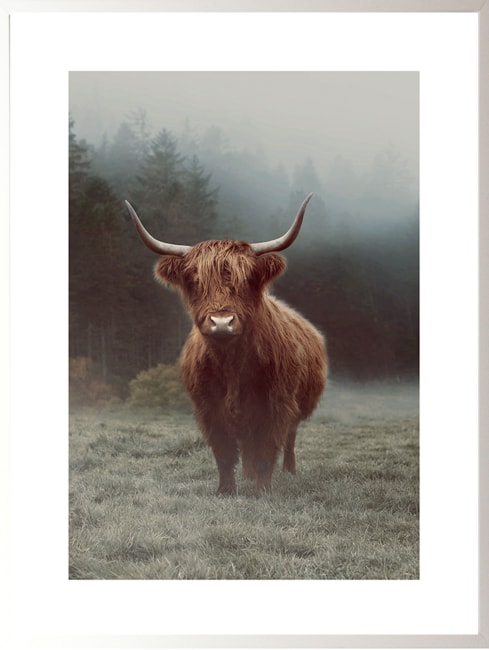 Bilde Hamish 60x80 UTGÅTT