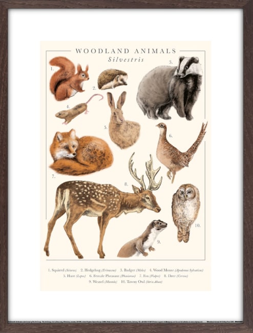 Bilde Woodland Animals 30x40