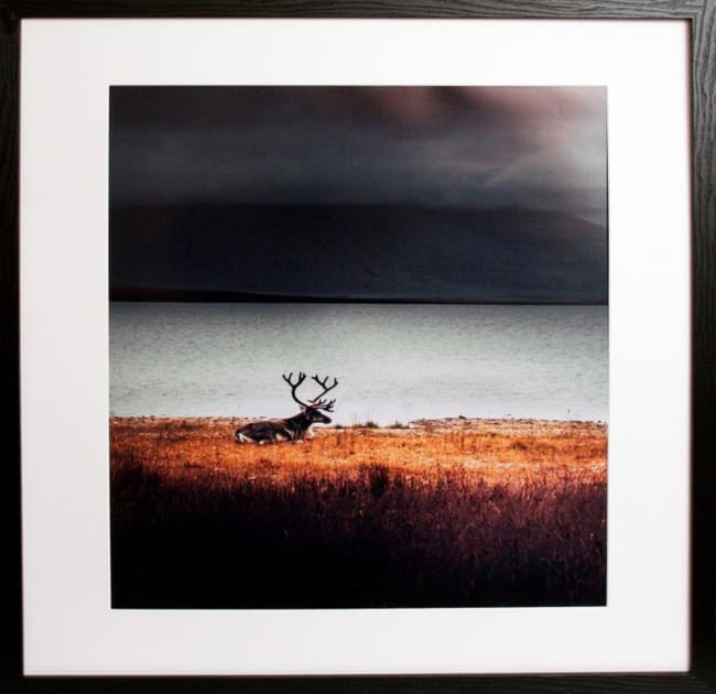 Bilde Høst 100x100