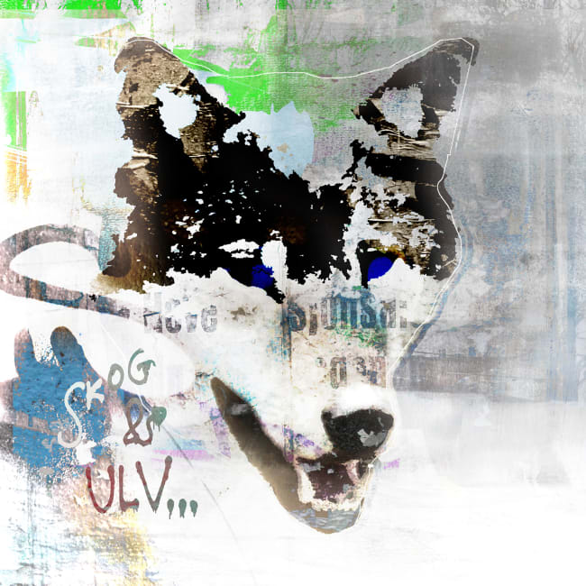 Canvas Solgård / Ulv 90x90