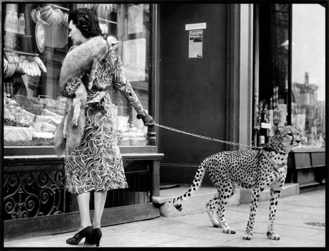 Canvas sort svevelist Woman with Cheetah / 85x113