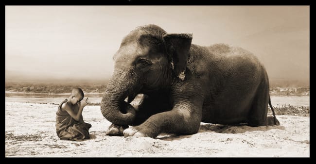 Bilde Praying by the river 70x138