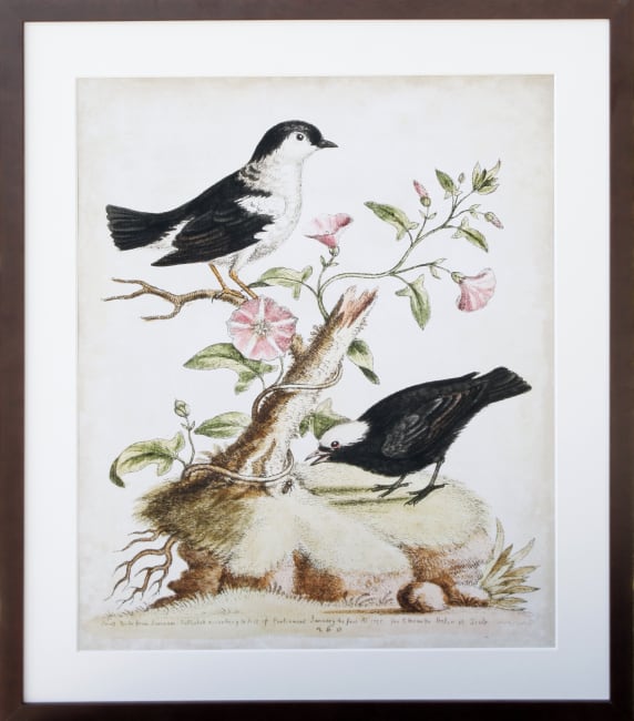 Bilde Habitat I 50x60