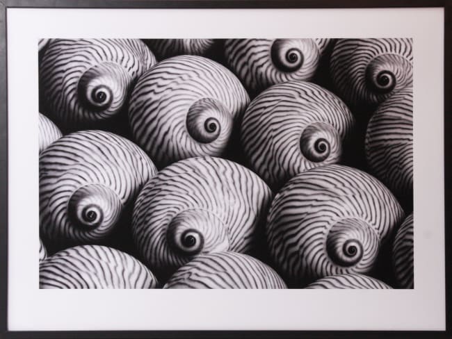 Bilde Striped Moon 80x60