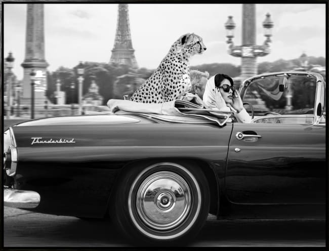 Canvas sort svevelist In Paris / 85x113