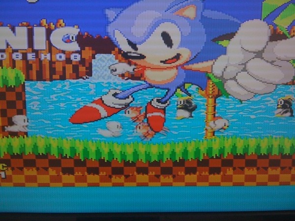 Sonic screenshot