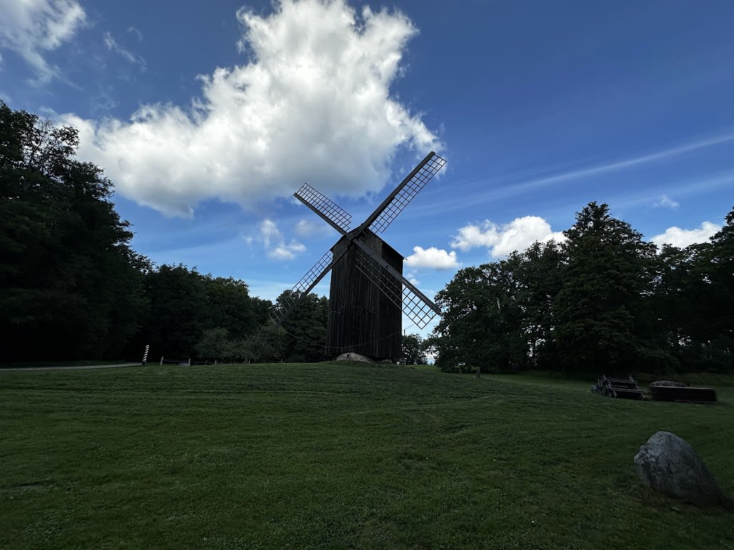 A majestic windmill