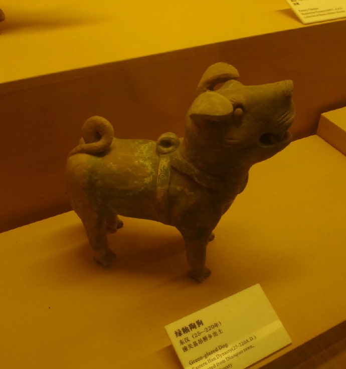 是狗不是猪