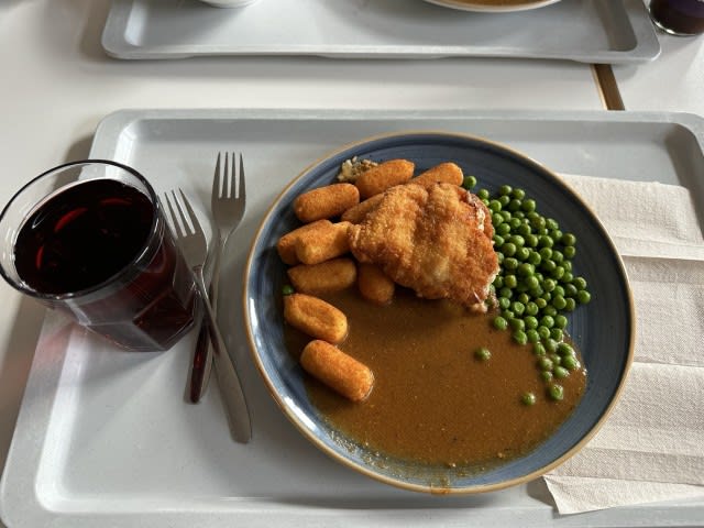 Chicken Schnizel