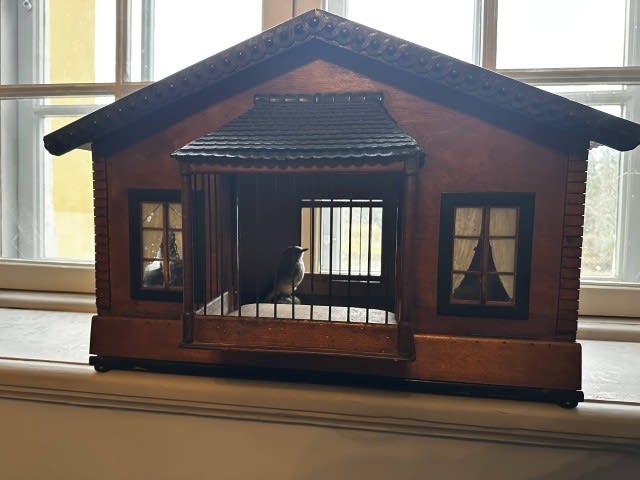bird cage