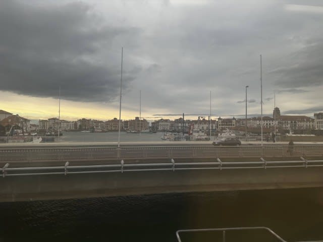 Window view