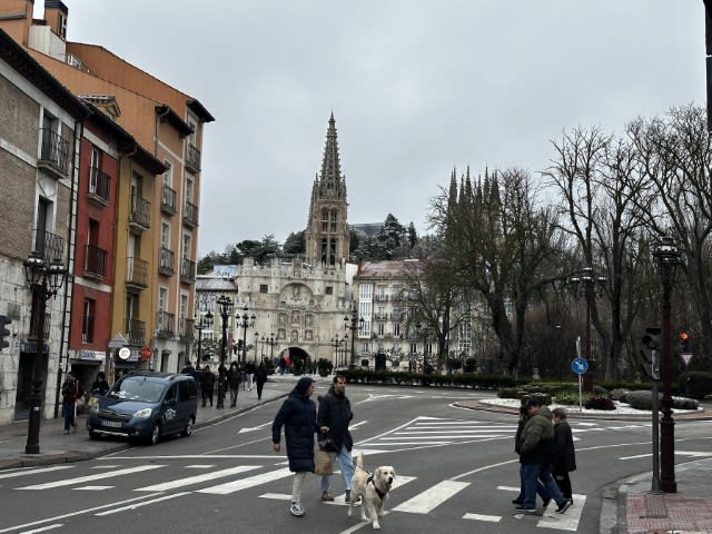 burgos