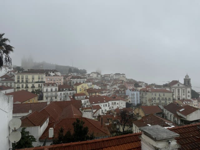 view