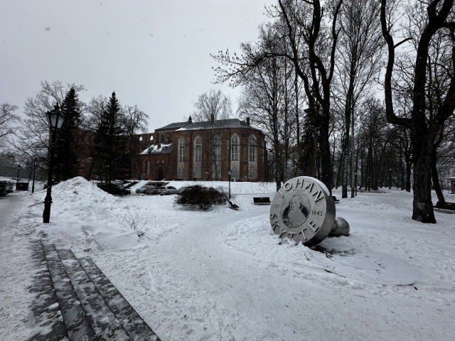 University Museum
