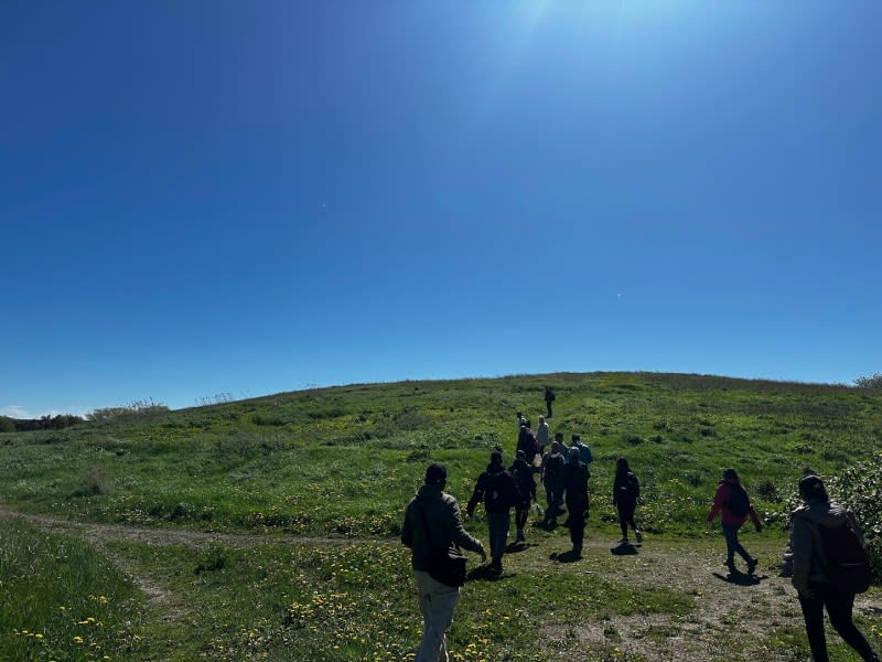 hill