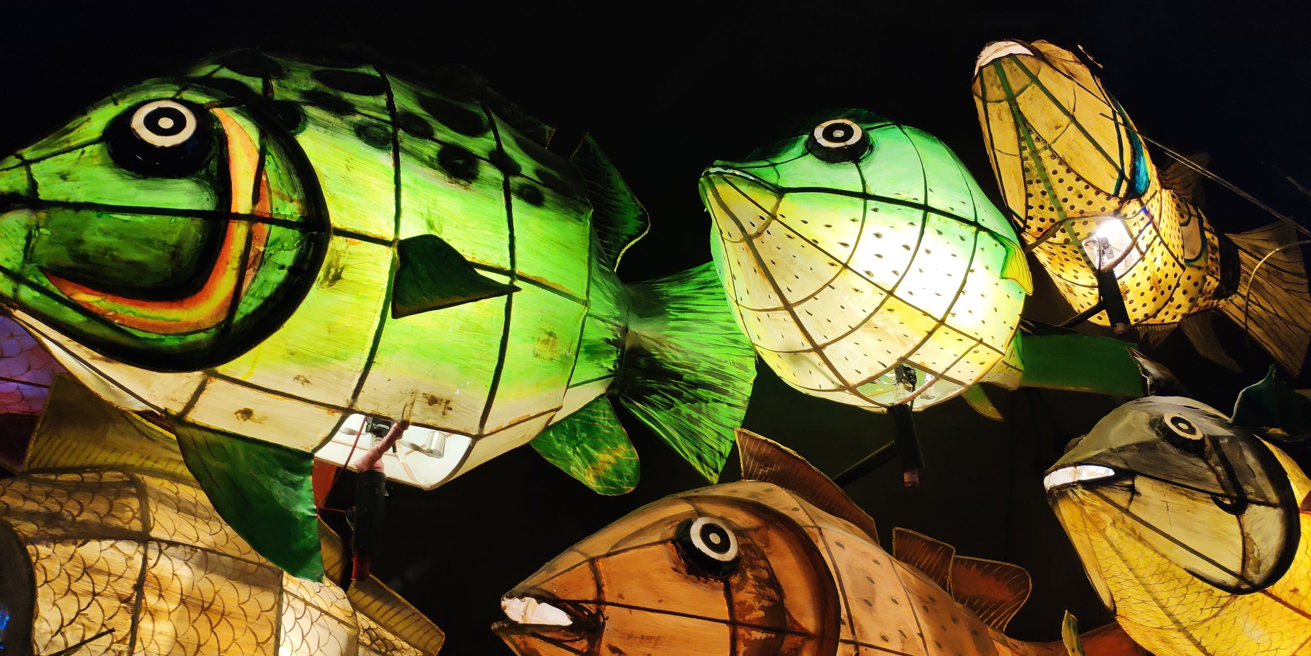 fish lantern