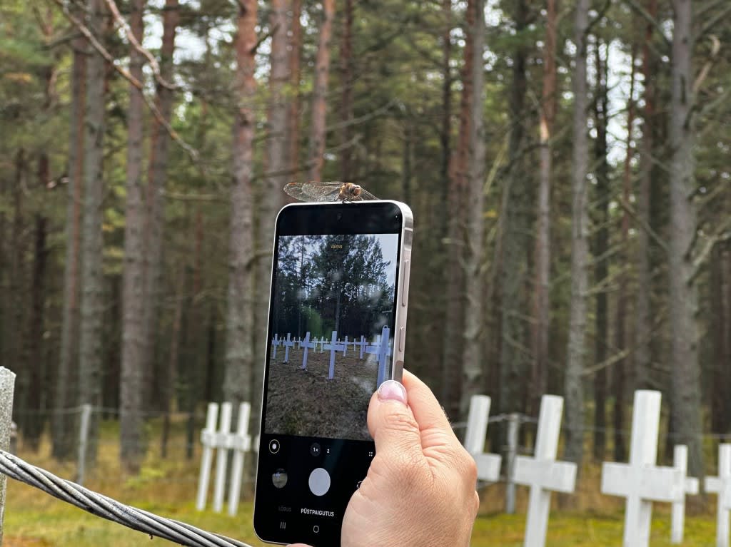 graveyard