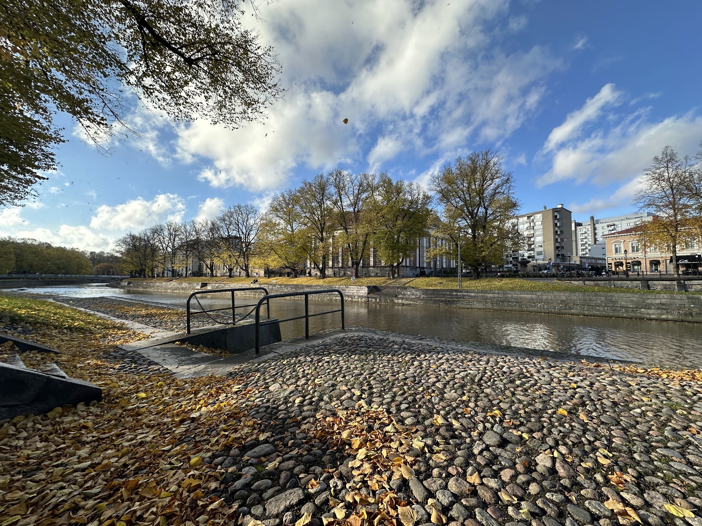 autumn