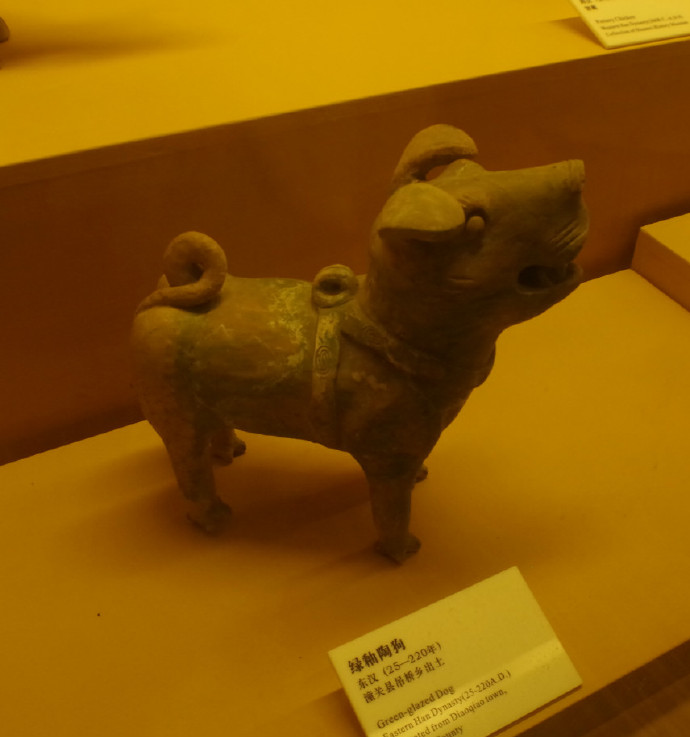 是狗不是猪