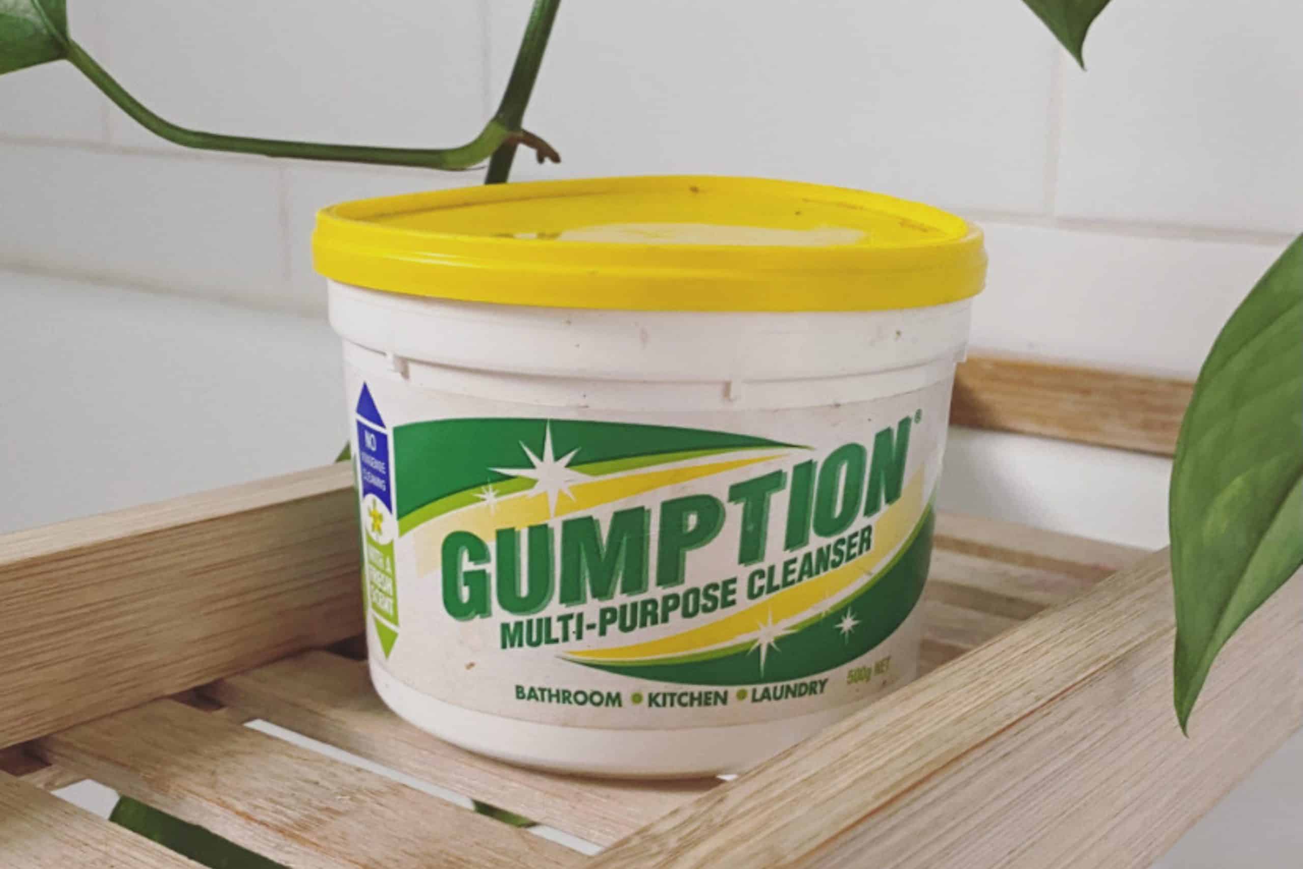 Gumption