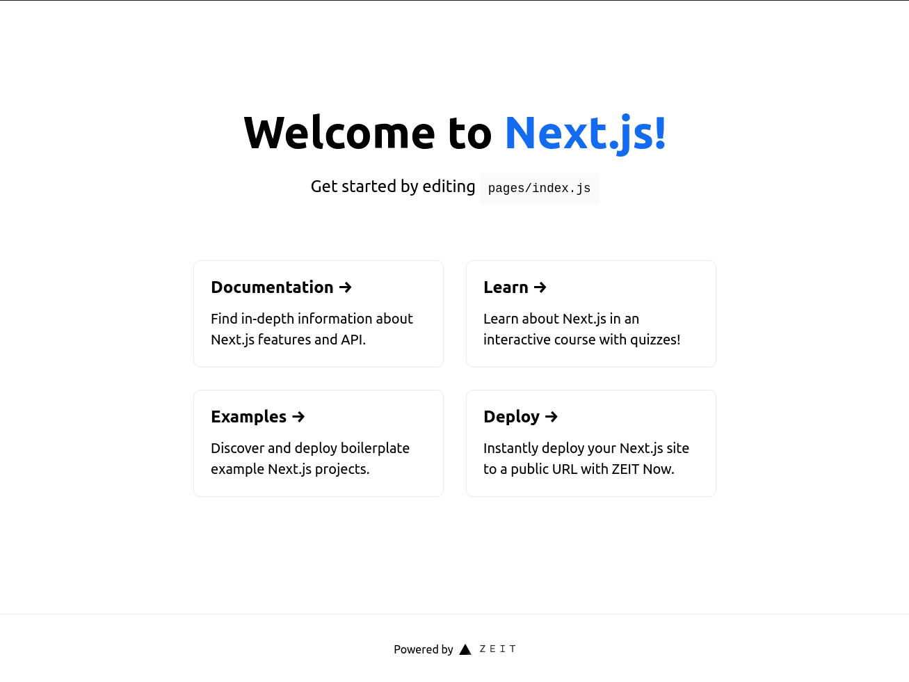 Initial Next.js screen