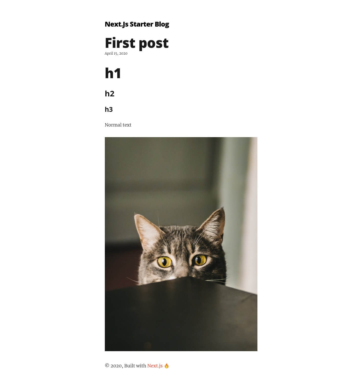 Blog post with cat image