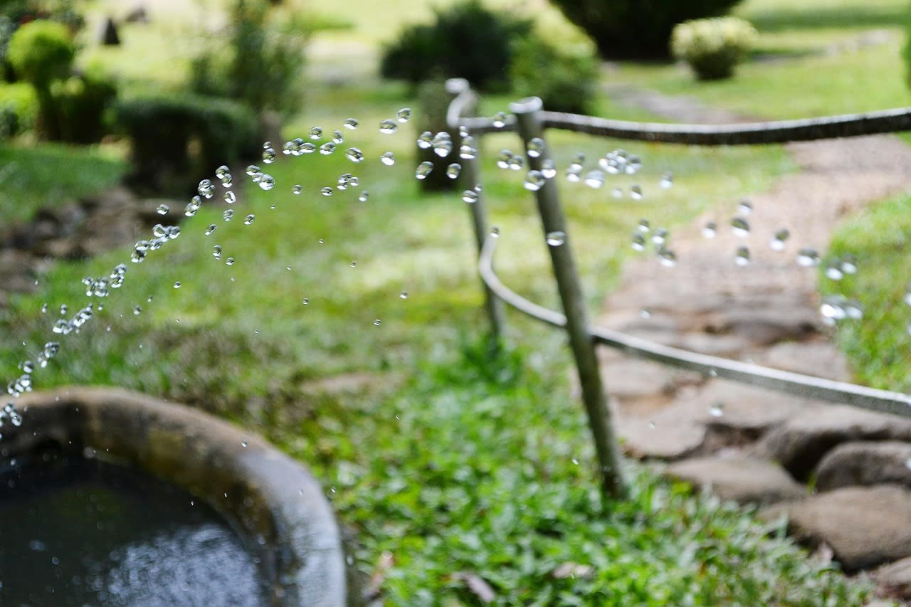 Arrosage à l’arrosoir dans un jardin