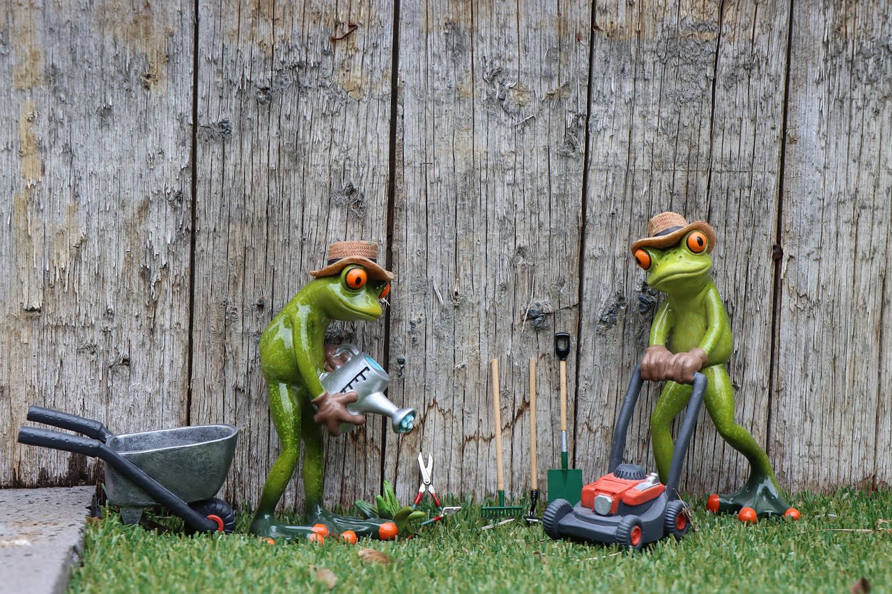 Services de jardinage professionnel
