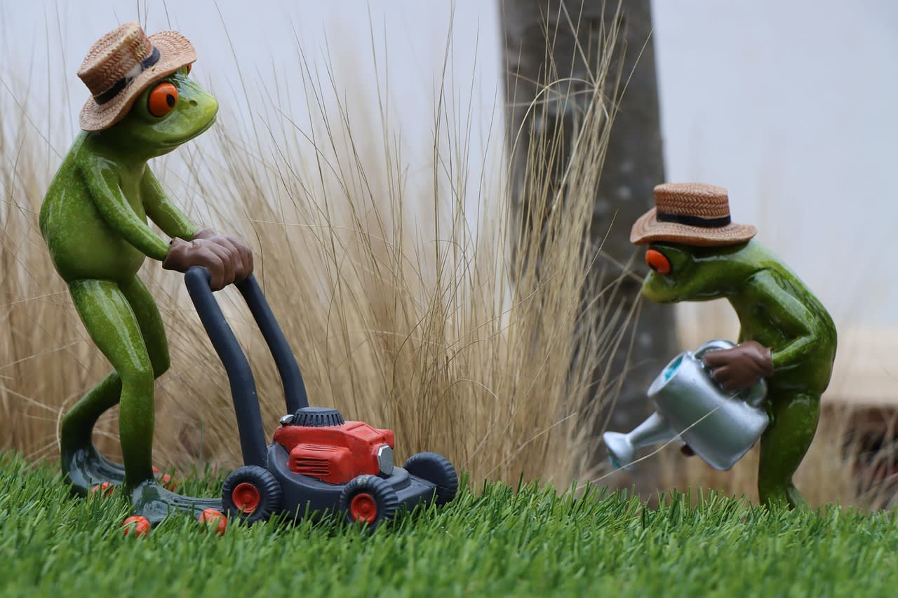 Jardinier professionnel vérifiant son travail