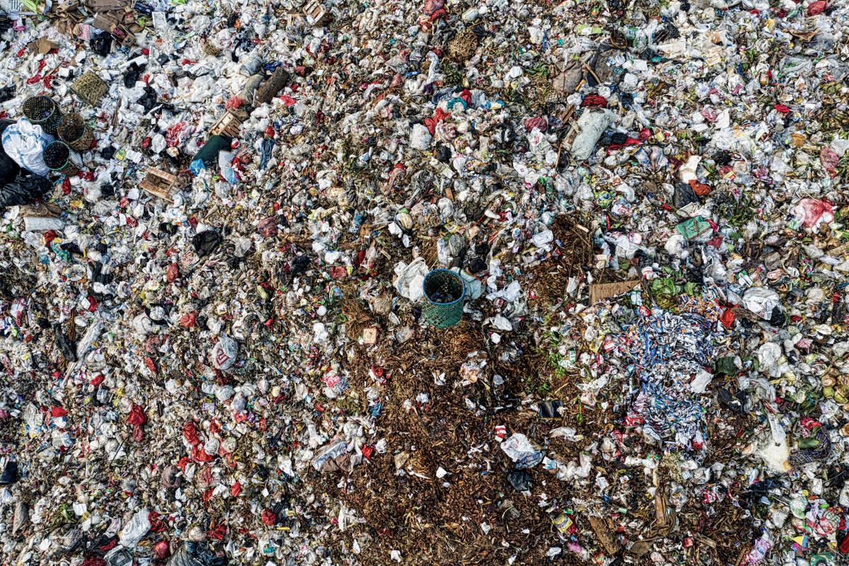 Paillage d’un massif de jardin