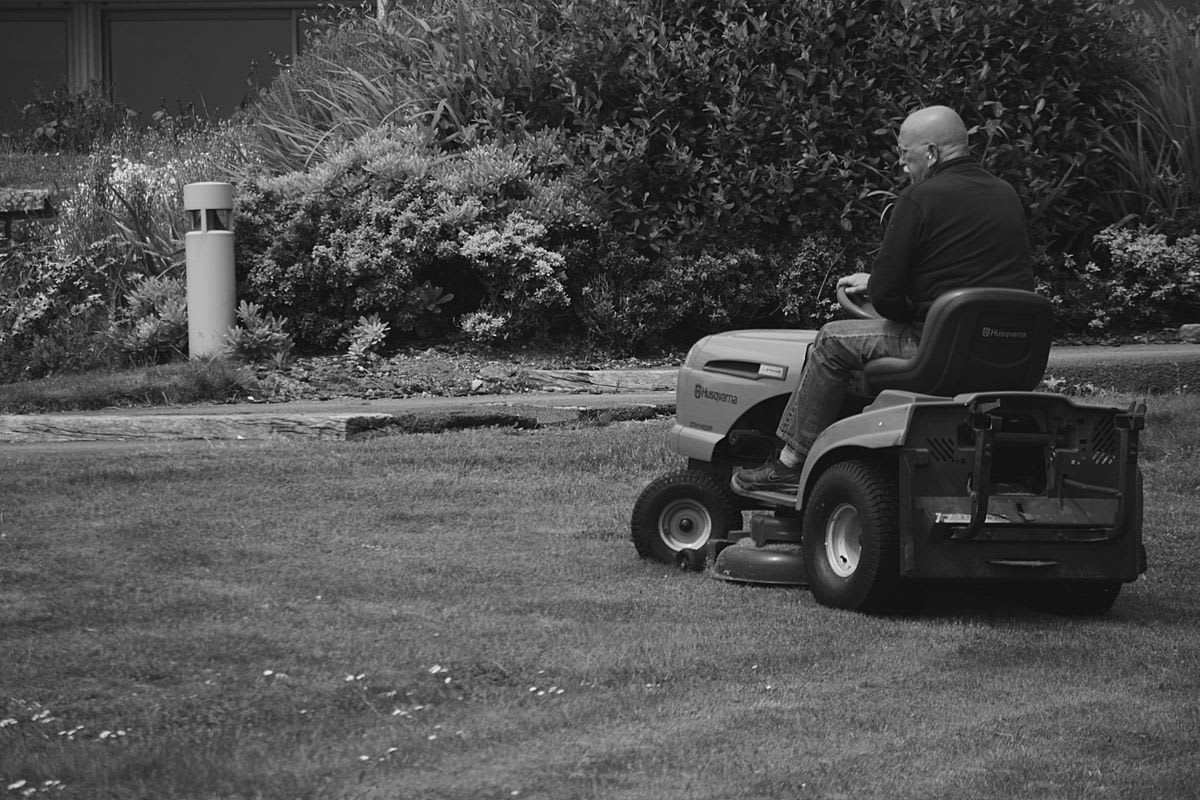 Herbe haute avant tonte dans un jardin négligé