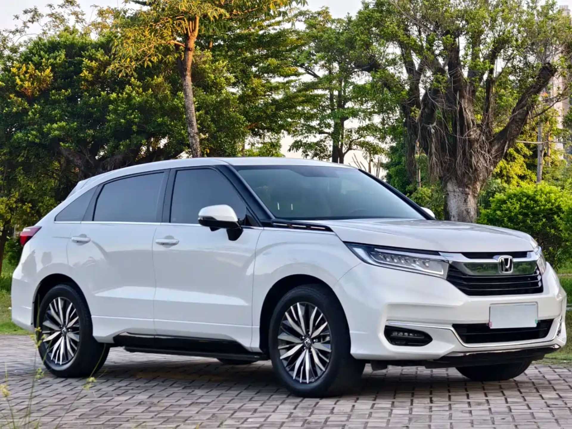 Honda AVANCIER - 1