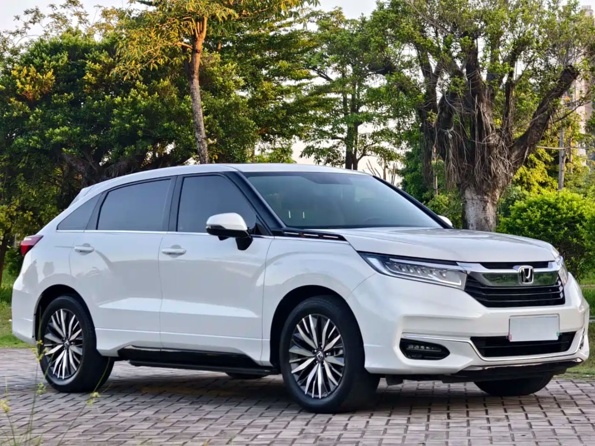 Honda AVANCIER - 1