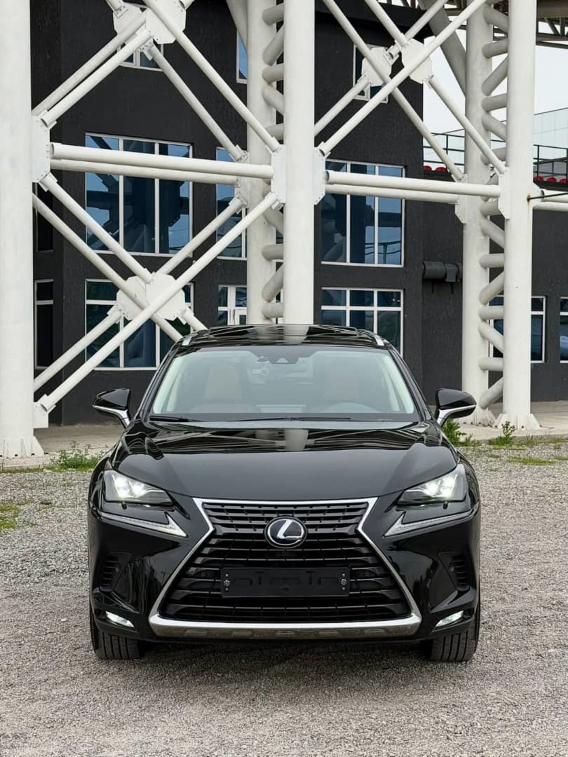 Lexus NX 300h  - 1