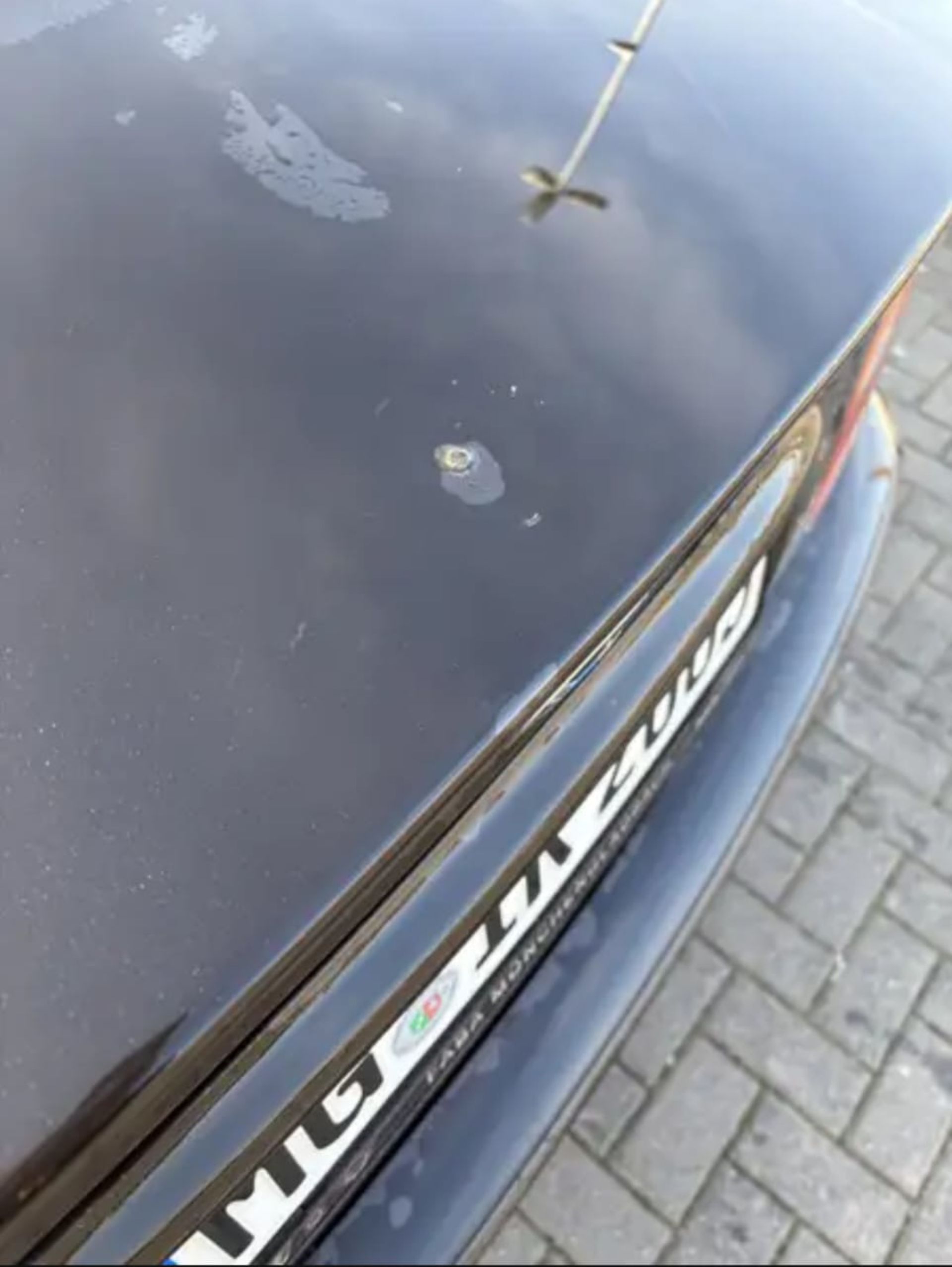 Bmw 316i - 8