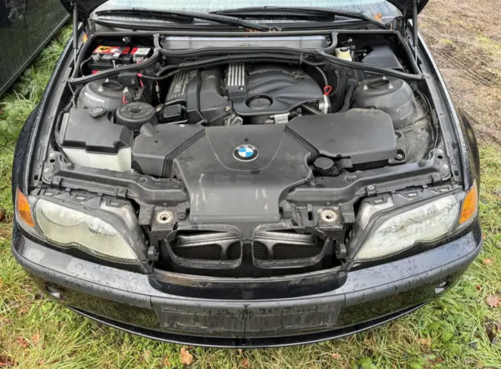 Bmw 316i - 5