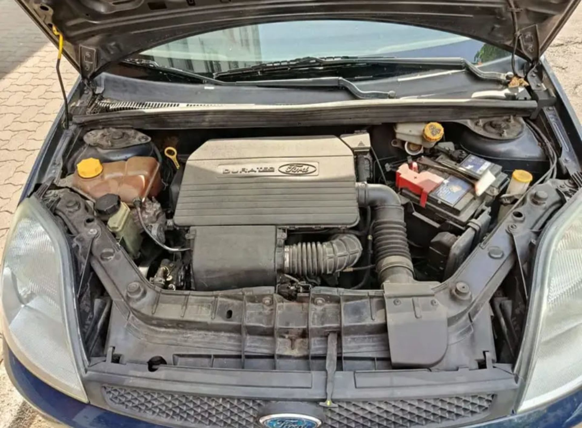 Ford Fiesta 5-Türer 1.3 - 5