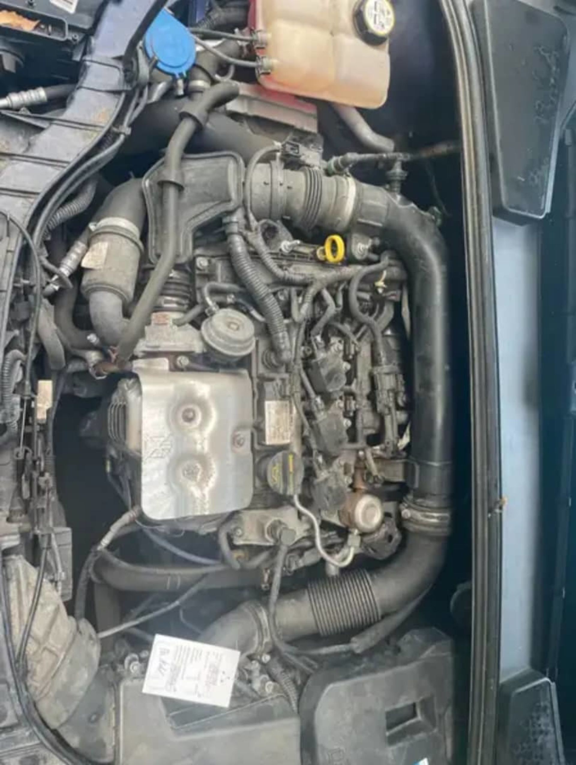 Ford Focus - 9