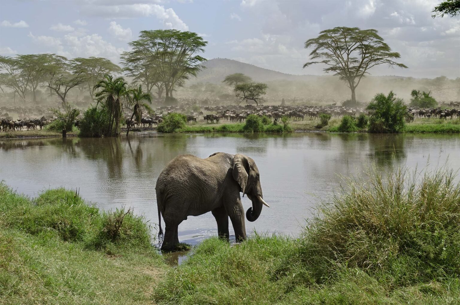 The Great Migration Luxury Safari (8 Days)