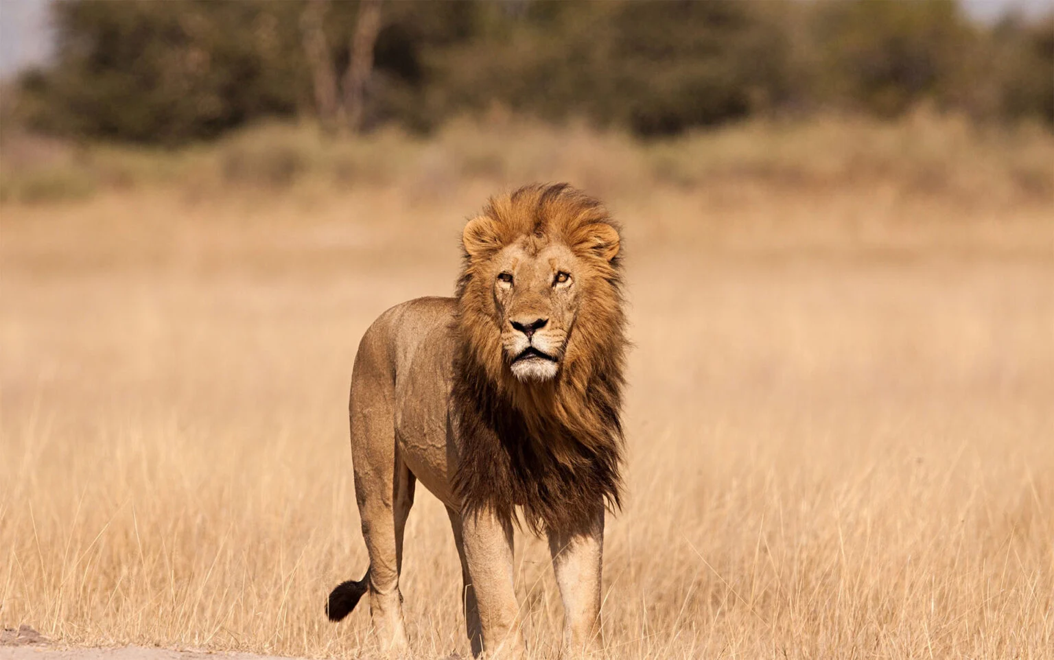 Serengeti National Park