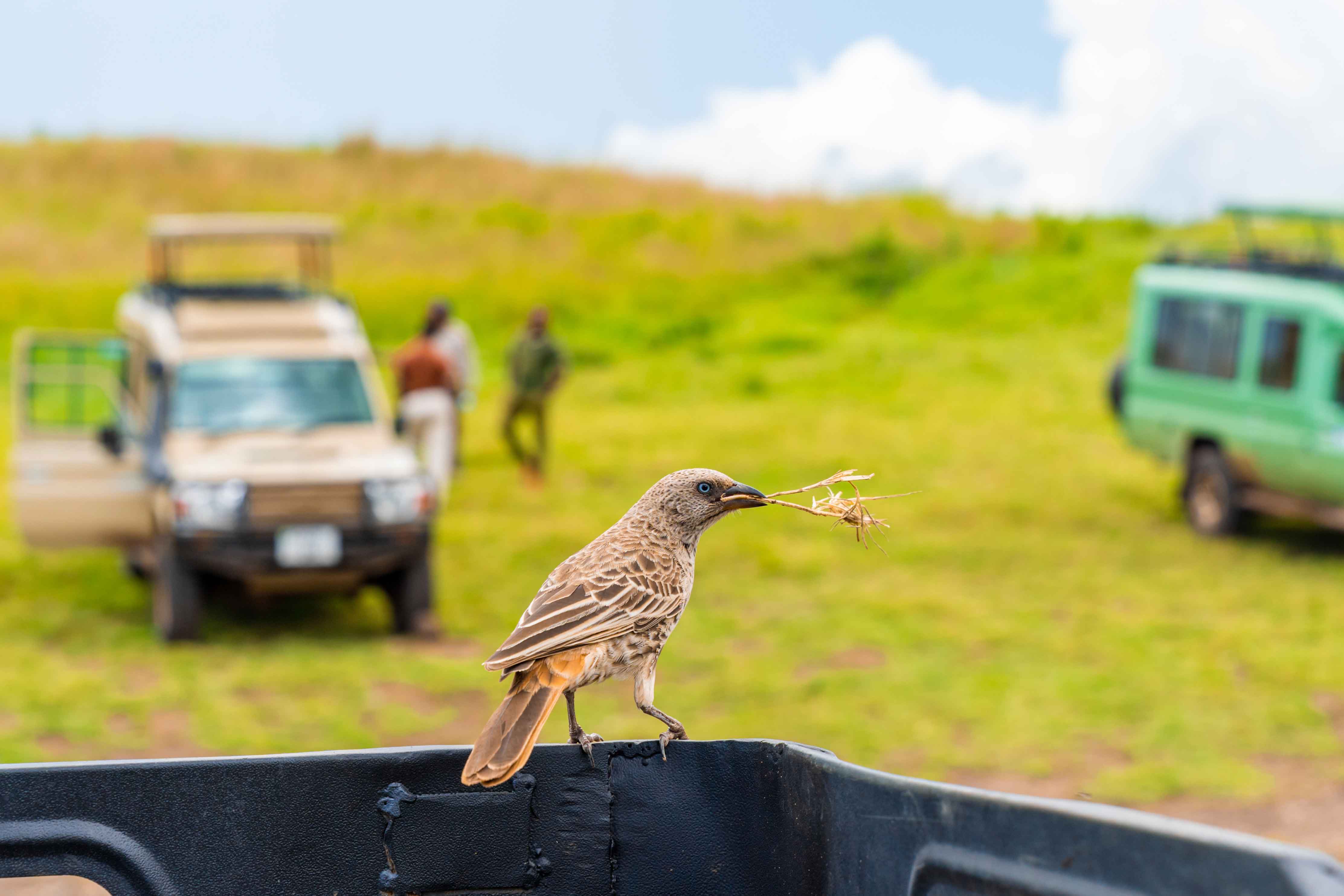 Lake Manyara