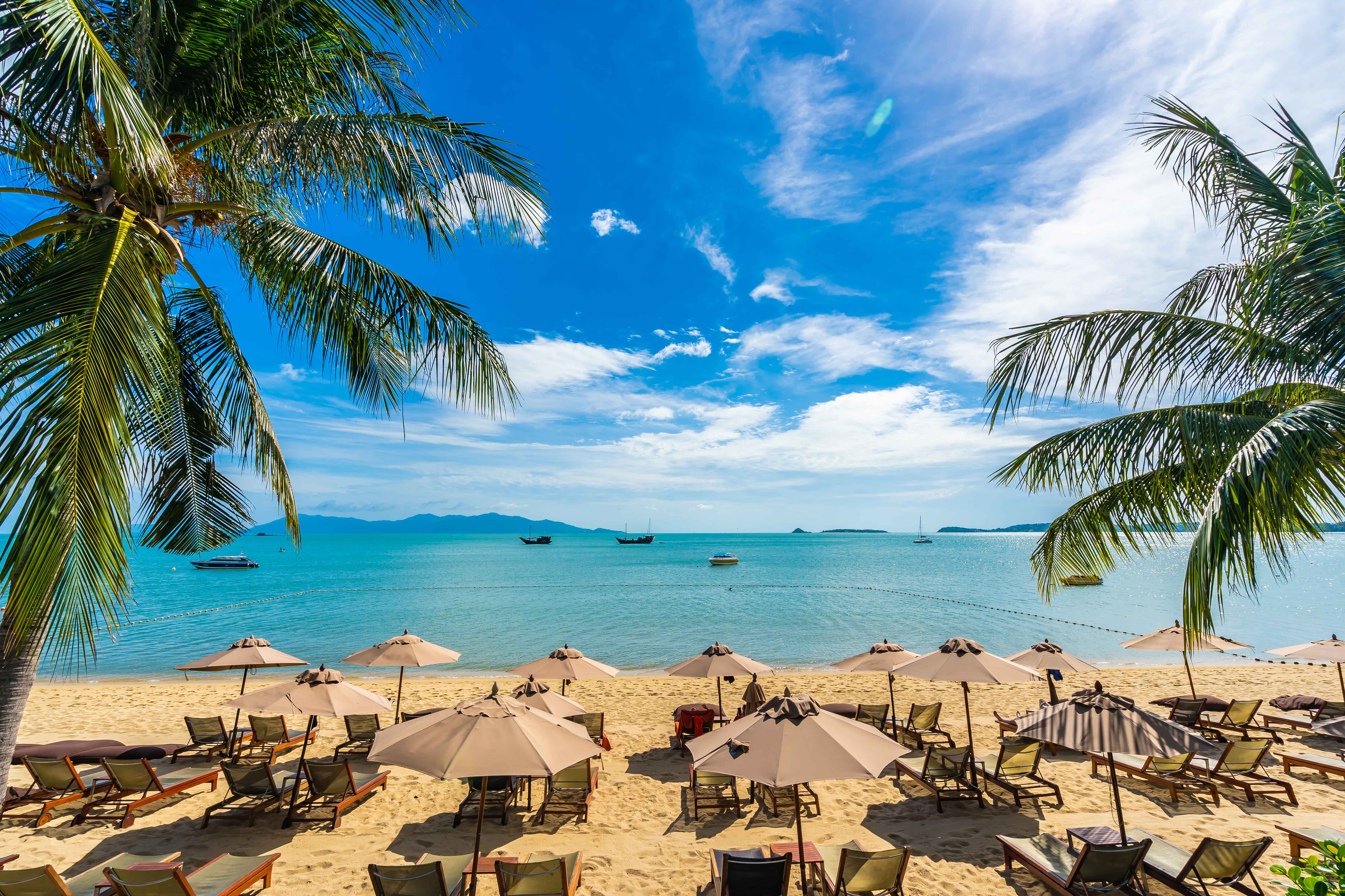 Zanzibar Beach Paradise