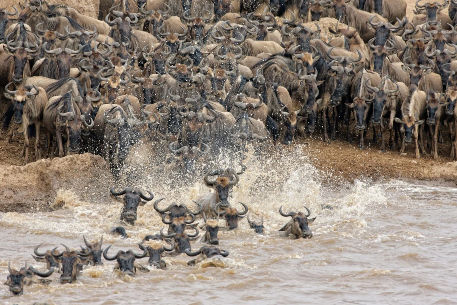 Great Migration Luxury Safari