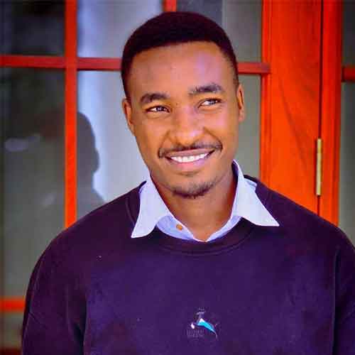 Dionis baltazari sungi