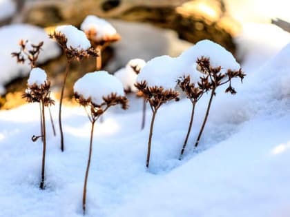 Погода 7 января в Новой Усмани будет облачной с прояснениями в течение дня и ясной вечером