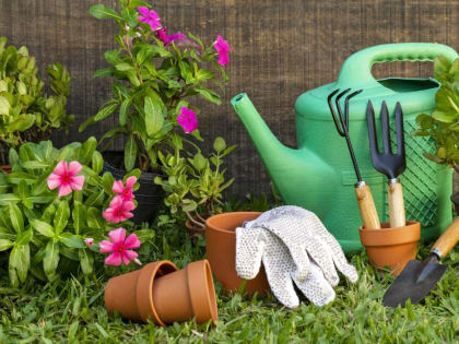 Лунный посевной календарь садовода-огородника на&nbsp;2024 год