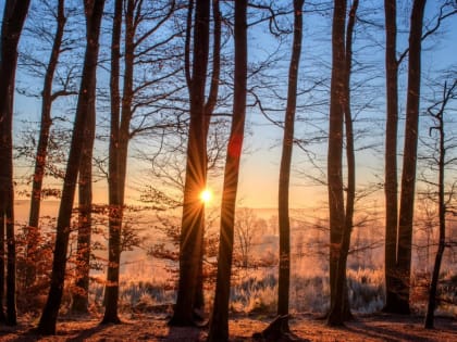 Первый день февраля побил температурный максимум в Воронежской области