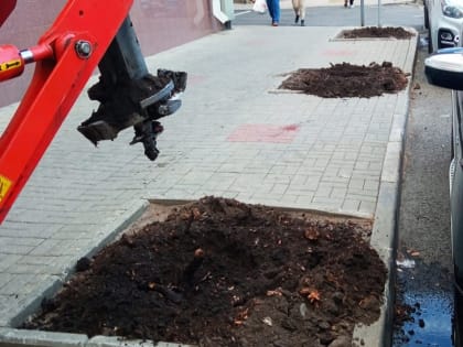 Воронеж готовится к осеннему озеленению улиц