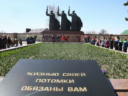 Как провести в Воронеже День защитника Отечества: 124 мероприятия